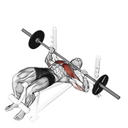 barbell decline bench press