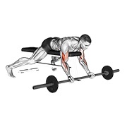 barbell lying preacher curl