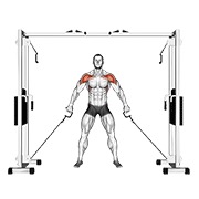 cable front shoulder raise