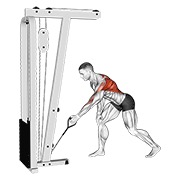 cable one arm bent over row