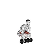 dumbbell deadlift