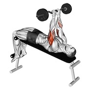 ez barbell decline close grip face press