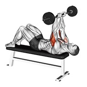 ez barbell jm bench press