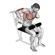 lever overhand triceps dip