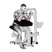 lever triceps extension