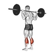 barbell floor calf raise