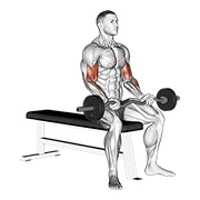 ez barbell seated curls