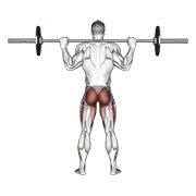 barbell full squat (back pov)