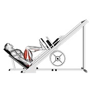 sled 45° leg press (side pov)