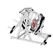 lever alternate leg press