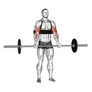 barbell biceps curl (with arm blaster)