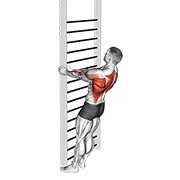 bodyweight standing close-grip row