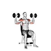 dumbbell seated alternate shoulder
