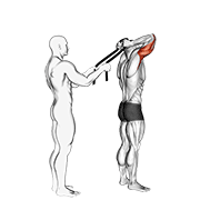 assisted standing triceps extension (with towel)