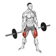 barbell jefferson squat