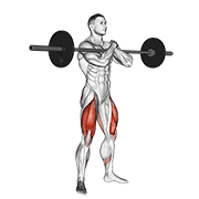 barbell zercher squat