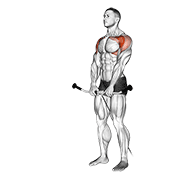 cable front raise