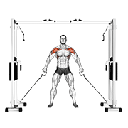 cable front shoulder raise