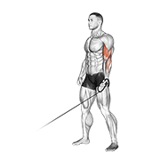 cable one arm curl