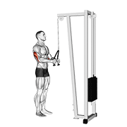 cable pushdown (with rope attachment)