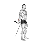cable standing back wrist curl