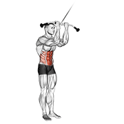 cable standing crunch