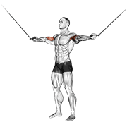 cable standing inner curl