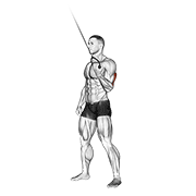 cable standing one arm triceps extension