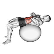 crunch (on stability ball)