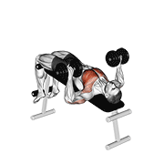 dumbbell decline bench press