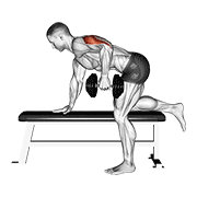 dumbbell kickback