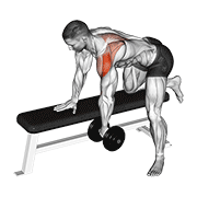 dumbbell rear delt row_shoulder