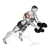 dumbbell reverse fly