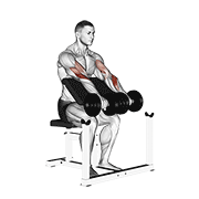 dumbbell reverse preacher curl