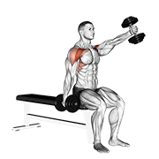 dumbbell seated alternate front raise