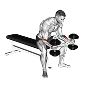 dumbbell seated neutral wrist curl