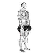 dumbbell stiff leg deadlift