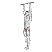 hanging leg raise