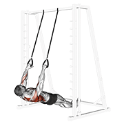 inverted row with straps