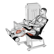 lever seated leg curl