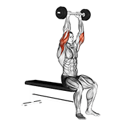 olympic barbell triceps extension