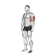 overhead triceps stretch