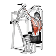 reverse grip machine lat pulldown