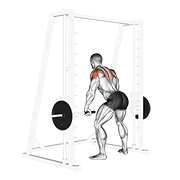 smith rear delt row