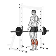 smith standing leg calf raise