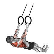 suspended row