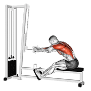 cable seated row