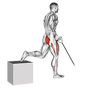 band one arm single leg split squat