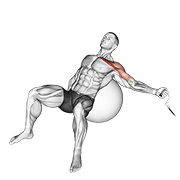 cable one arm incline fly on exercise ball