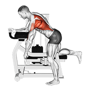 lever unilateral row